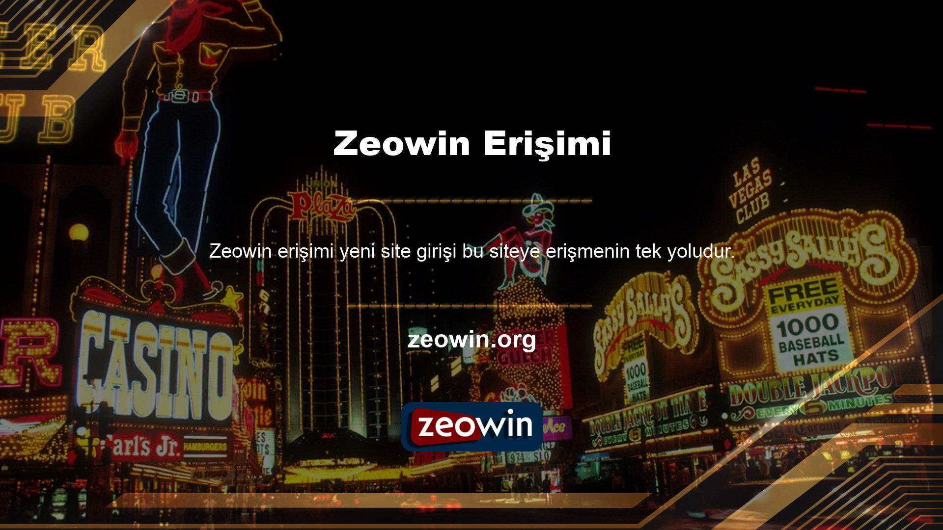 Müşterinin Zeowin bakış açısı ve güvenlik kaygıları, durumun ortak bir yönüdür